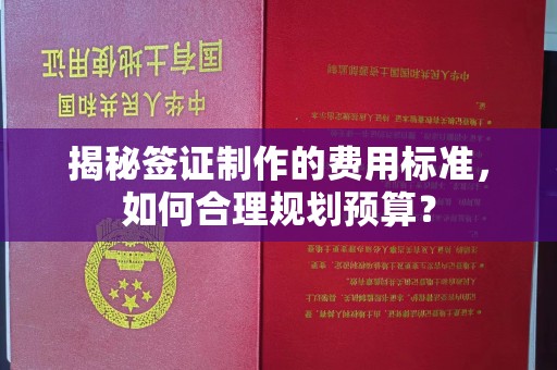 禹王台揭秘签证制作的费用标准，如何合理规划预算？