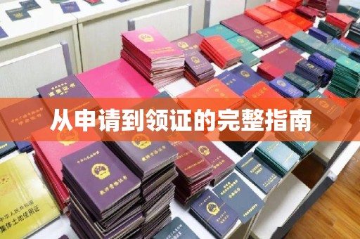 禹王台从申请到领证的完整指南