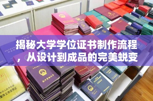 禹王台揭秘大学学位证书制作流程，从设计到成品的完美蜕变