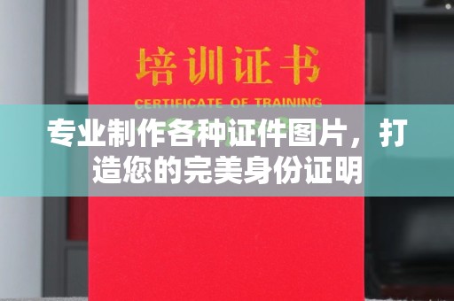 禹王台专业制作各种证件图片，打造您的完美身份证明